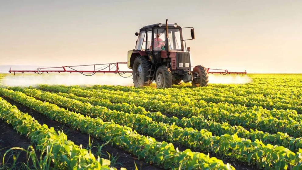 Robos en el campo y pérdidas millonarias: productores de Prograno desesperados e indignados