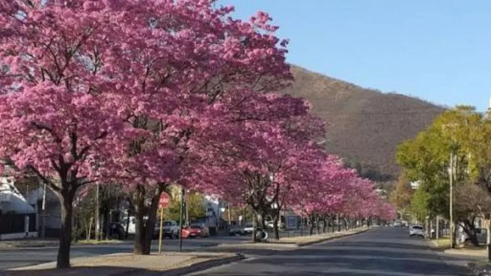 Tiempo en la ciudad de Salta: el pronóstico para este viernes 1 de septiembre