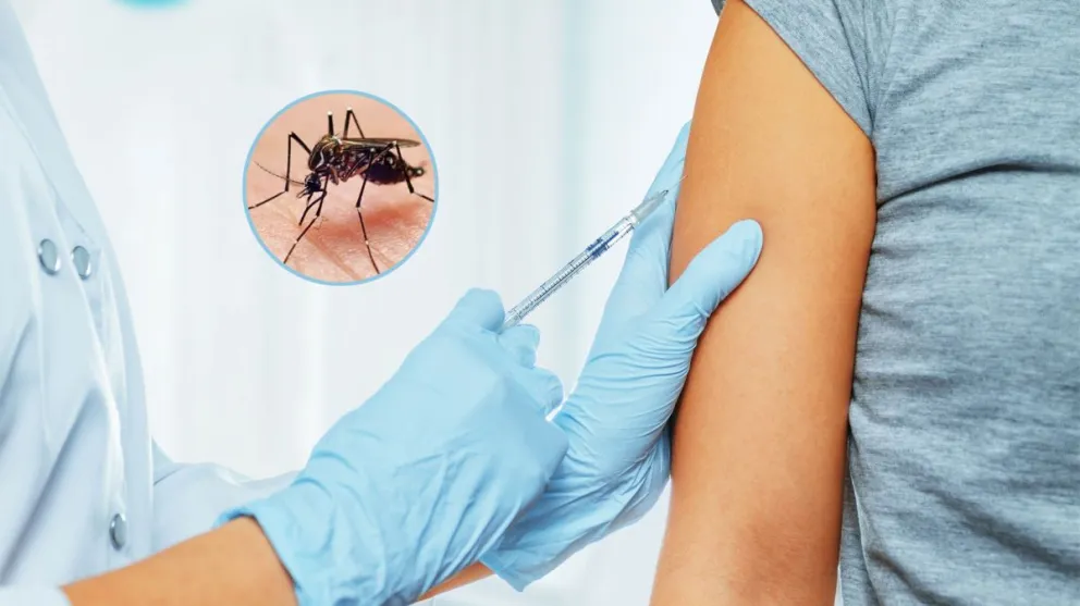 Dónde y cuándo aplicarte la vacuna contra el dengue aprobada por la ANMAT 