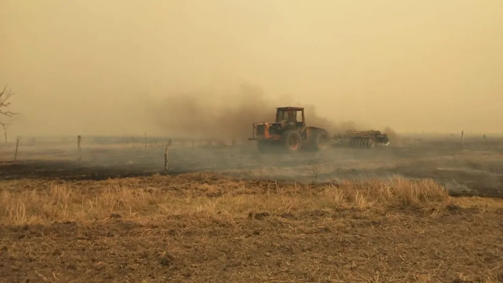 Emergencia agropecuaria: la AFIP anunció los beneficios que tendrán los productores ante la terrible sequía