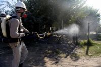 Advierten que la situación del dengue en Orán es por negligencia del municipio 