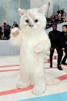 Furor en todo el mundo: Jared Leto comparte cómo se convirtió en un gato para lucirse en la MET Gala