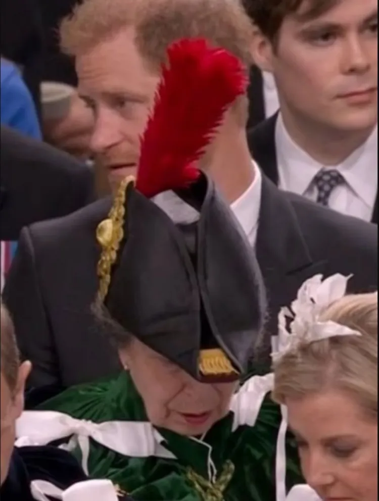 Posible venganza: la princesa Ana oculta la cara del príncipe Harry con su enorme sombrero real durante la coronación