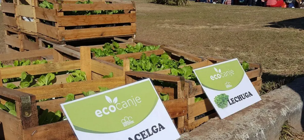 Ecocanje en el Parque Bicentenario: enterate cómo formar parte de esta nueva edición
