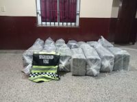 La policía secuestró un gran cargamento de hojas de coca valuado en 2 millones de pesos