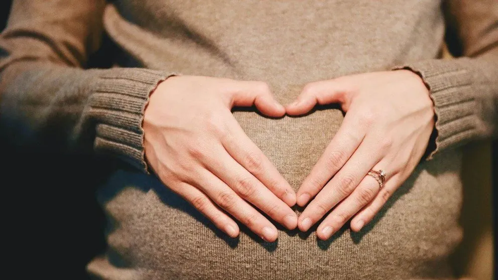 ANSES: estos son los requisitos que debés cumplir para cobrar la Asignación por Prenatal y Maternidad 