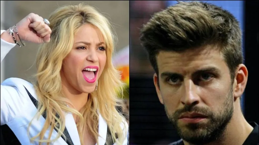 Shakira hizo lo justo para proteger sus bienes y los de sus hijos. Esto decidió