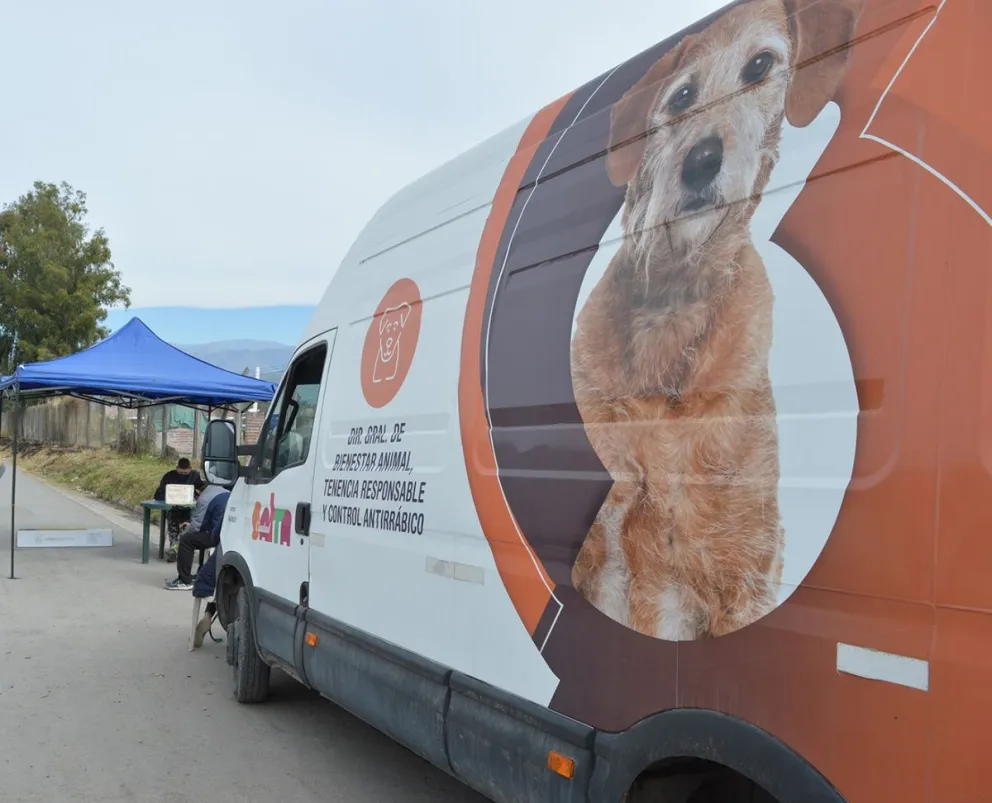 Castración de mascotas en Salta: el móvil quirúrgico atenderá gratuitamente la próxima semana