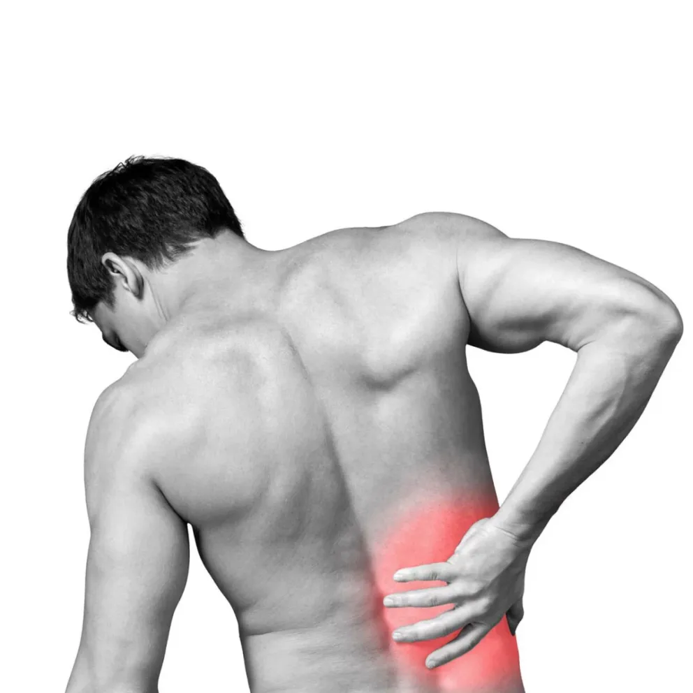 Avanza el Proyecto de ley para la Concientización y Prevención de Patologías en la Columna Vertebral en Salta