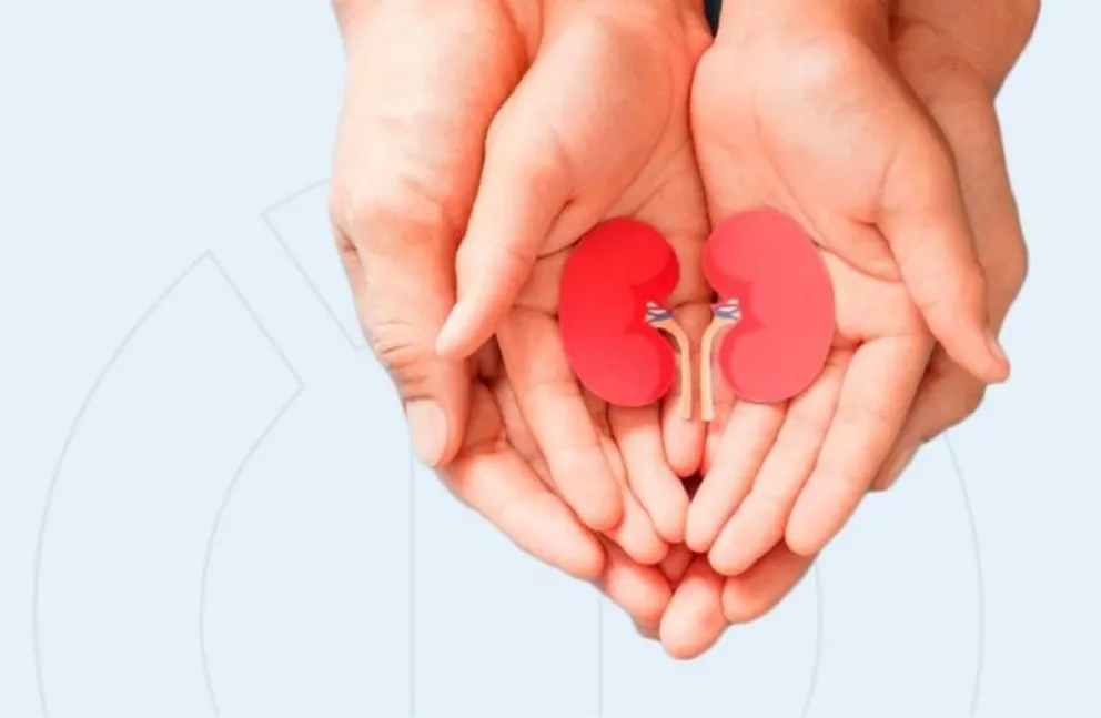 Donaci&oacute;n de organos