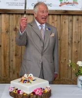 Los momentos más divertidos de royals cortando un pastel: nunca les falta el humor