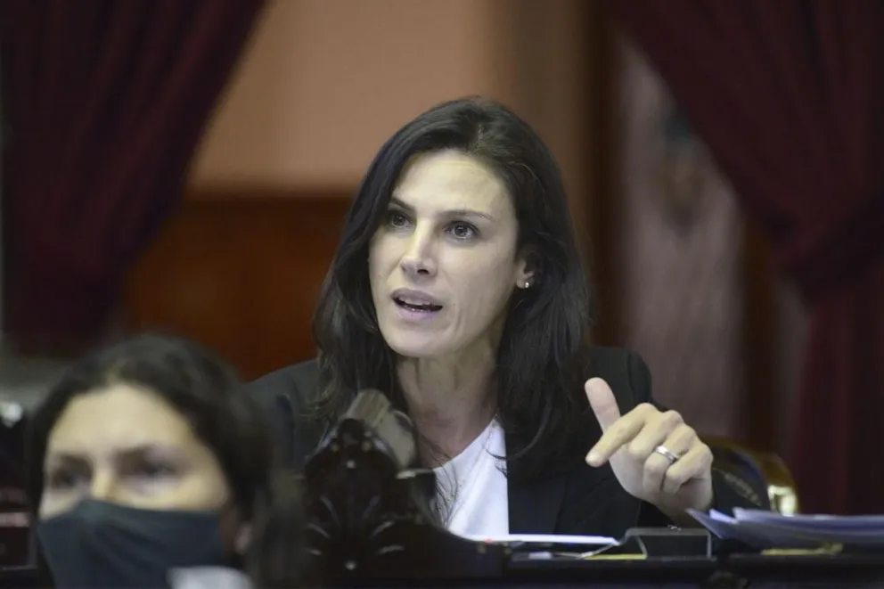 |LEY ÓMNIBUS| Pamela Calletti se defiende de las duras críticas: "No sé porqué hablan de traición, si pusimos por escrito y tomé la palabra"
