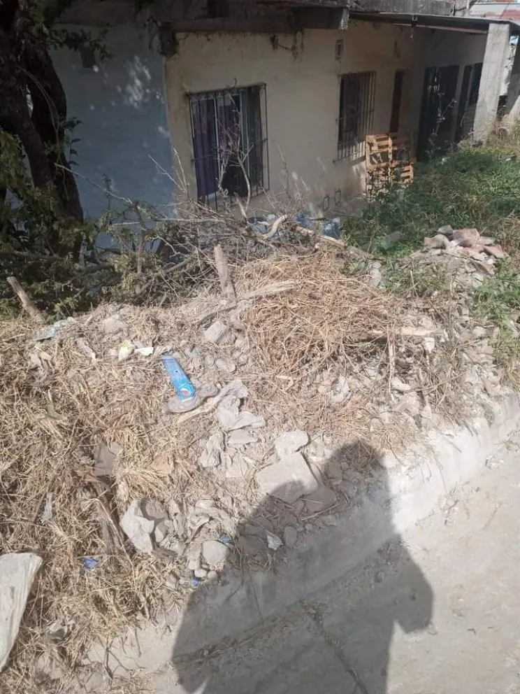 Limpiaron las calles y dejaron la basura en el frente de una vivienda: la dueña exige soluciones