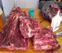Circulaban con 60 kilos de carne en el baúl y fueron sorprendidos sobre la Ruta Provincial N°37