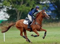 Reaparece Zara Tindall con sus caballos lista para las próximas competencias