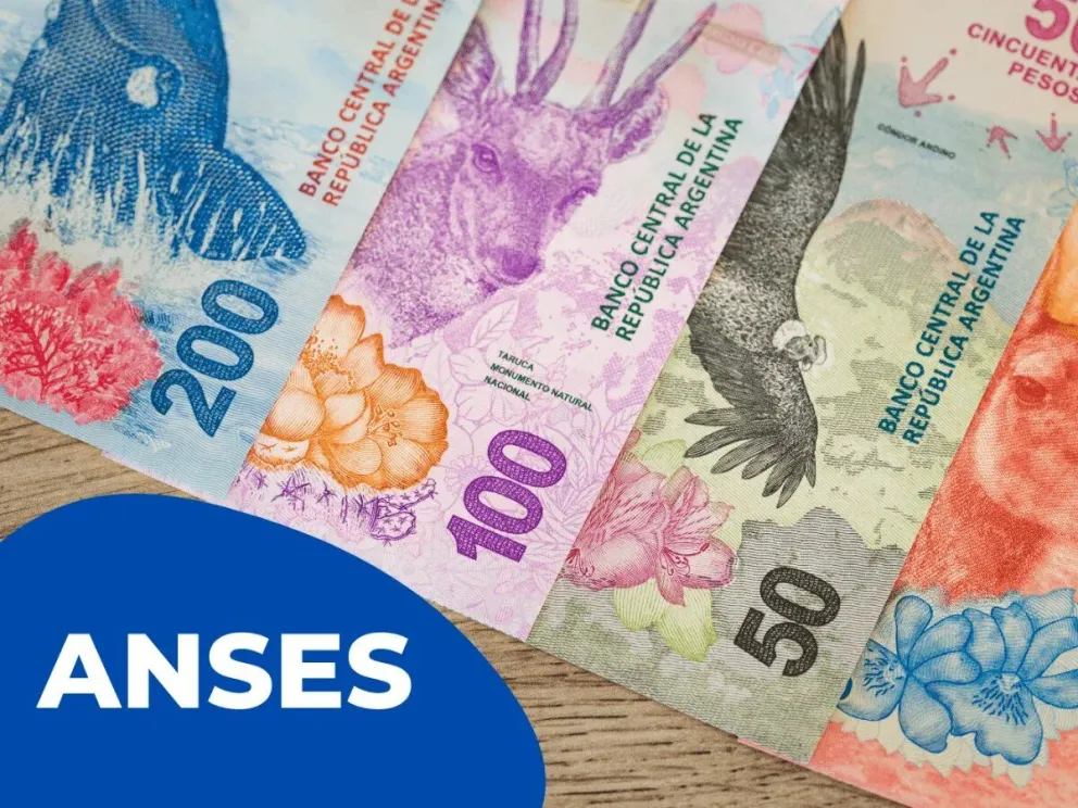 ANSES paga una extraordinaria suma de $100.000 por única vez: enterate si sos parte de los beneficiarios