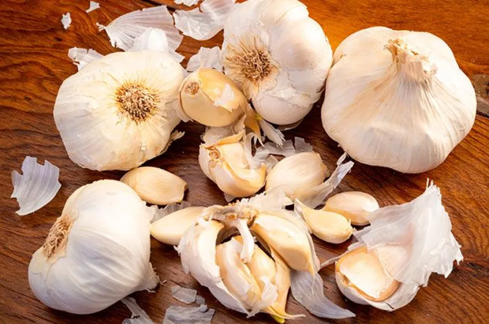 Increíble: reciclá cáscaras de ajo y realizá un té que brindará grandes beneficios a tu salud