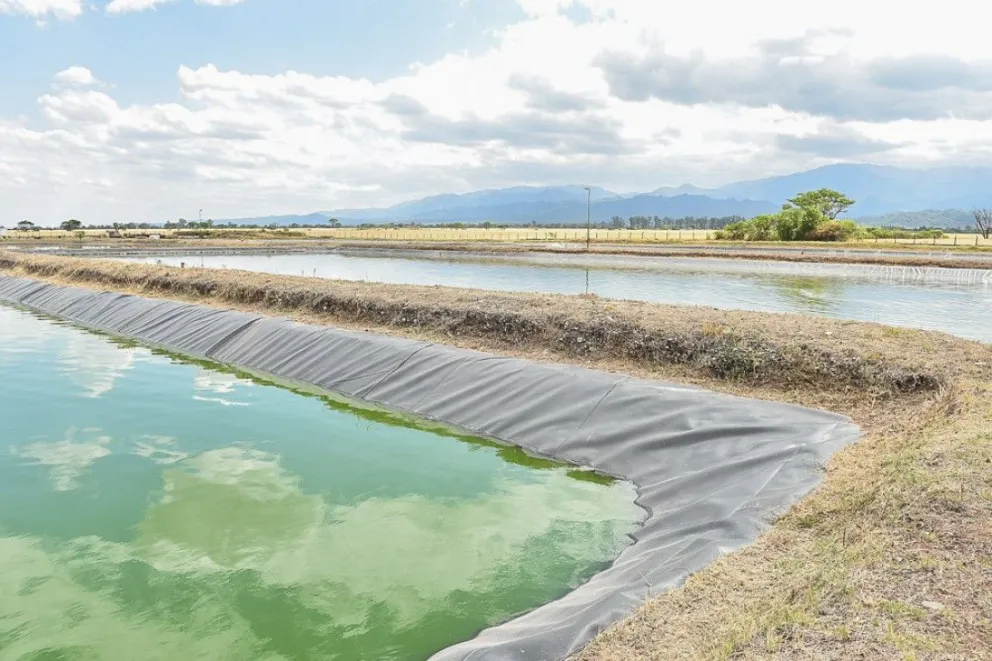 Conmoción en San José de Metán por el hallazgo de un feto en planta depuradora